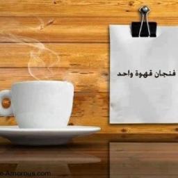 طالب جامعي