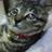 leelee3997's profile image