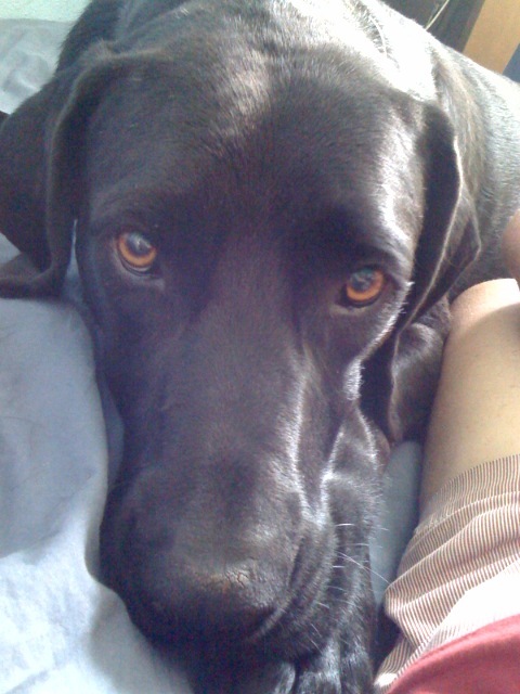 realitylite's profile picture. 