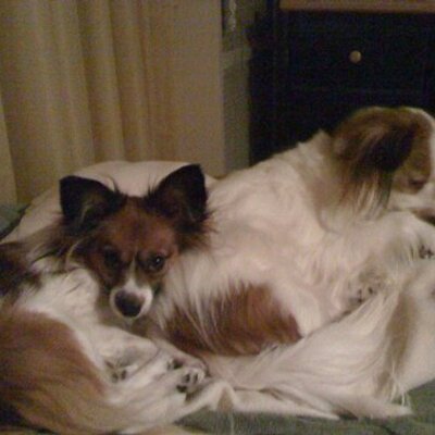 Bigk831's profile image