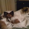 Bigk831's profile picture. Animal Lover, Music Lover, Empath, Family, loves learning everything, Appalachian born and bred!, #niecesandnephews, #greataunt, #cousins, #godsons