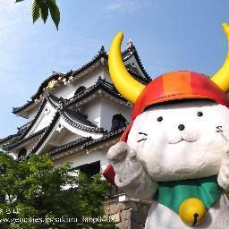 ohisamatsuki's profile picture. 