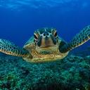 Juliana Serna Solís - @JuliaSernaSolis - Twitter