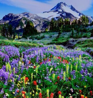 SuzieQt154320's profile picture. I have the unmitigated gall to actually live what I believe.Believe in church planting. Biblicist. #TGDN freedom, liberty, salvation retweets not endorsement.