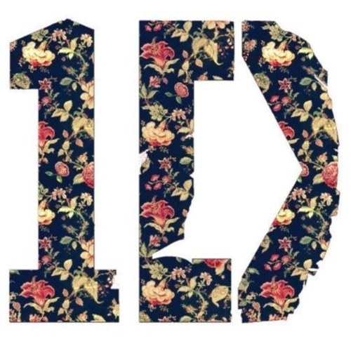 If your a directioner you should follow me.❤