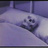 torontomovieguy's profile image