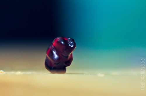 GavinSchenk's profile picture. 