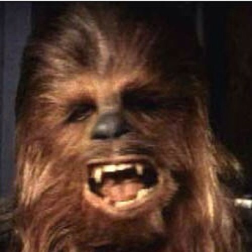 WookieJon Profile Picture