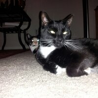 Ziggie015 (@ziggie015) 's Twitter Profile