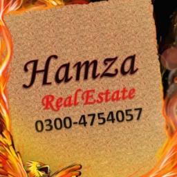 hamzaestate144's profile picture. 