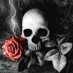 zakeboy666's profile picture. Horny fucker, porn freak.
Easy going, down to earth, eye for an eye a tooth for a tooth. One love and free love. Will try anything twice...just to be sure.