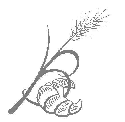 毎週土曜日はテイクアウトのお料理 月末土曜日はチーズをメインにした マルシェも催しております。