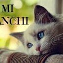 Anna Parisi - @icaia - Twitter