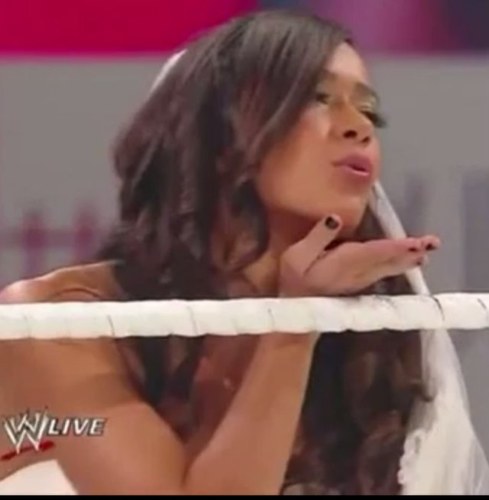 Hi im a wwe fane the men/divas i like are kelly2 aj lee alicia fox kaitlen layla john cena and twilight fan.;] :