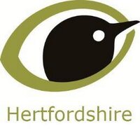 BTO Hertfordshire (@_bto_herts) 's Twitter Profile Photo BTO Hertfordshire (@_bto_herts) 's Twitter Profile Photo