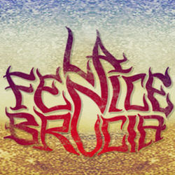 ROCK/Grunge/Stoner Band di Sesto San Giovanni @madteo7 @fabiobiso .La Fenice Brucia.