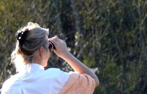 EhrkeHeideMarie's profile picture. 🌿🙋🌿Meine Berufung, schon in die Wiege gelegt: Mit dem Herzen zu sehen, auch das UNBEWUSSTE❣️💖☀️🙏Engagiert:👍“Global Juror 2020“ mit HERZ und Verstand💞🌿🕊