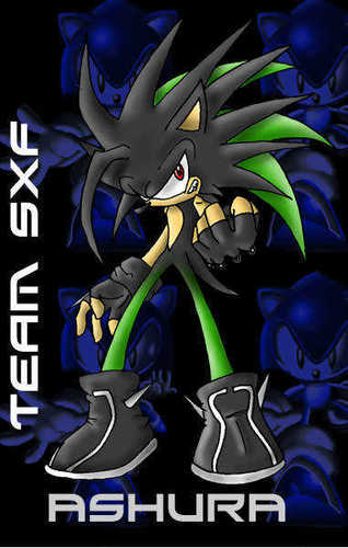 Sup, Im Ash the hedgehog a 16 yr old from Mobius. Keeper of the Green Chaos Emerald. No mission is to hard for me, dont get on my bad side or I'll destroy you