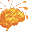 Dedicated to biologically inspired intelligence (BII),3rd gen Nathan API for building learning machines. our solutions #AI #BI #KM at https://t.co/up9MMT5IW7