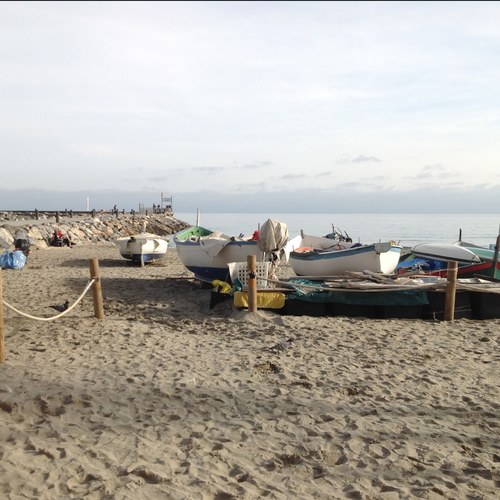 luganofed's profile picture. 