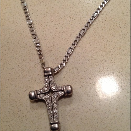 turtle10019's profile picture. 