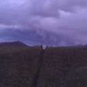 Elaine Bragg - @meg2741 - Twitter