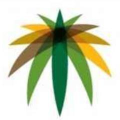 Saudization101's profile picture. نصائح للموظفين السعوديين