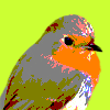 Robin is a character in the Twitter soap opera, JAYBIRD STREET. Please follow the Narrator (twittername: JaybirdSt) for access to the rest of the cast.