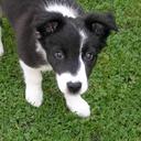 Davina murray - @littletot2002 - Twitter