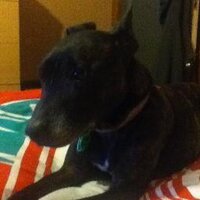 Daniel Edwards (@daniel_0124) 's Twitter Profile