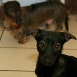 fredwatch's profile picture. 