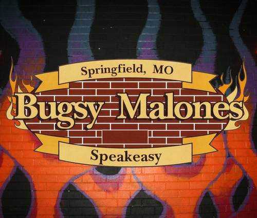 Your Springfield Missouri Downtown Karaoke Bar.