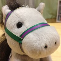 東海大学競馬サークル-首領･クリーク-現役生無し (@tokai_donkrieg) 's Twitter Profile