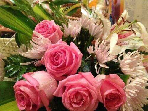 SsAssassass's profile picture. 