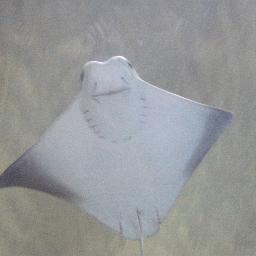 faytail's profile picture. comedy in the air, lots of time on my hands. With a roll on the drums and a slice of bread on the piano.