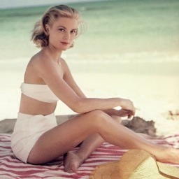 guyaroch's profile picture. Photog