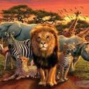 clarissa meyer - @MeyerClarissa - Twitter