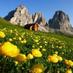 Startup Trentino (@startuptrentino) Twitter profile photo