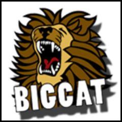 #Yorkshire based agency creating beautiful videos and beautiful websites. Because we can and we love it. BigCat Music now live! Check out http://t.co/hoTL3l7cXb