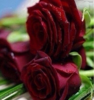 elham20131's profile picture. 