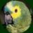 IvanRoig's profile image