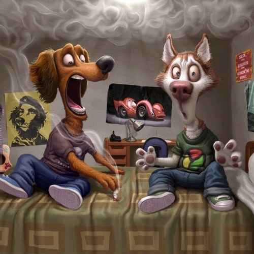 420 24/7