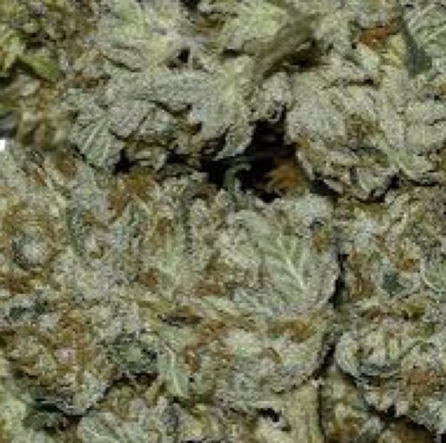I'm in love with Mary Jane