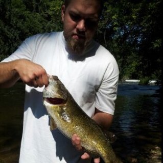 stack302's profile picture. 