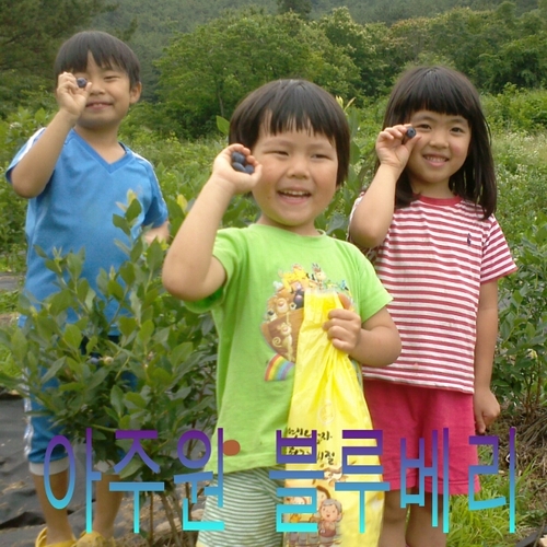 축복의 땅 대한민국에는 약이 되는 것들이 많아요♥건강한 삶을 위한 정보 공유합시다^^