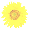 Jerry Mac - @SouthPolie - Twitter