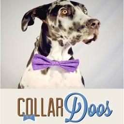 Welcome to CollarDoos™ Twitter page! At CollarDoos, we design unique and interchangeable accessories for your dog's collar, including bows, bowties & flowers!