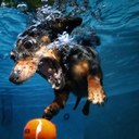 Andy Slater - @SlaterWP - Twitter