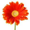 eva ruth lizardo - @evaruthlizardo - Twitter