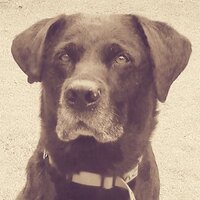 Geoff (@g_man_53) 's Twitter Profile